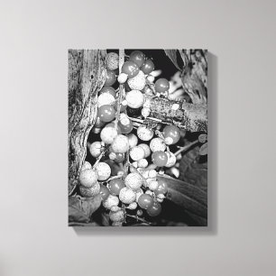 Toile Berries Sauvages Noir Et Blanc