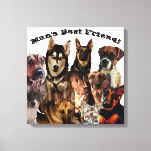 Toile BEST AMI DOG'S MANS Stretched Canvas Print