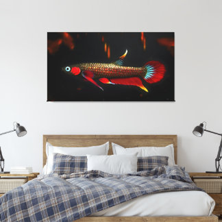 Toile Betta Livida sauvage – La beauté du marais d'eaux 
