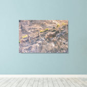 Toile Bighorn Sheep (Insitu (Plancher de Bois))