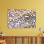 Toile Bighorn Sheep (Insitu(Salon))