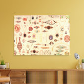 Toile Bijoux du "Catalogue Tiffany", 1890 (Insitu(Salon))