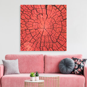 Toile Bille de bois séchée Coupe transversale Bois rouge
