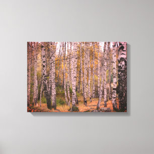 Toile Birch Forrest Autumn Photo Single