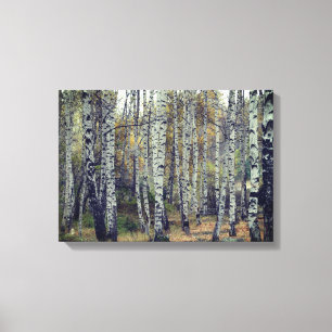 Toile Birch Forrest Autumn Photo Single