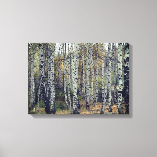 Toile Birch Forrest Autumn Photo Single (Recto)