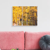 Toile Birch Trees Près De Denali Alaska, Fall, Canvas (Insitu(Salon))