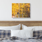 Toile Birch Trees Près De Denali Alaska, Fall, Canvas (Insitu(Chambre))