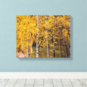 Toile Birch Trees Près De Denali Alaska, Fall, Canvas (Insitu (Plancher de Bois))