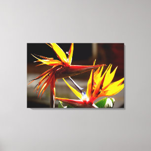 Toile Birds of Paradise Flower from Mexico