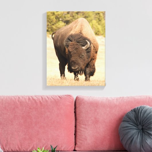 Toile Bison (Insitu(Salon))