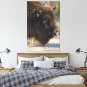 Toile Bison (Insitu(Chambre))