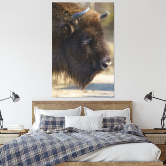 Toile Bison (Insitu(Chambre))