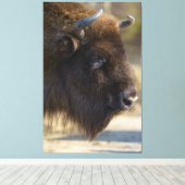 Toile Bison (Insitu (Plancher de Bois))