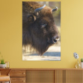 Toile Bison (Insitu(Salon))