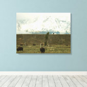 Toile Bison à Grand Teton National Park Photographie (Insitu (Plancher de Bois))
