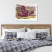 Toile Bison américain ou buffle (Insitu(Chambre))