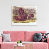 Toile Bison américain ou buffle (Insitu(Salon))