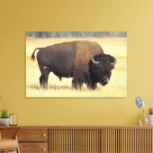 Toile Bison Bull à Yellowstone National (Insitu(Salon))
