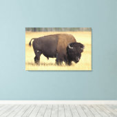Toile Bison Bull à Yellowstone National (Insitu (Plancher de Bois))