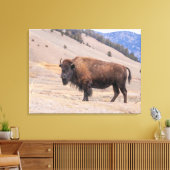 Toile Bison d'Amérique faune sauvage (Insitu(Salon))