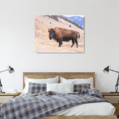 Toile Bison d'Amérique faune sauvage (Insitu(Chambre))
