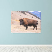 Toile Bison d'Amérique faune sauvage (Insitu (Plancher de Bois))