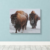 Toile Bison de Yellowstone (Insitu (Plancher de Bois))
