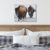 Toile Bison de Yellowstone (Insitu(Chambre))