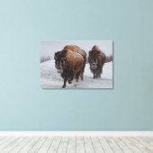 Toile Bison de Yellowstone (Insitu (Plancher de Bois))