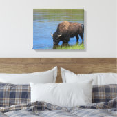 Toile Bison de Yellowstone qui boit dans le lac (Insitu(Chambre))