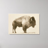 Toile Bison des plaines (Recto)