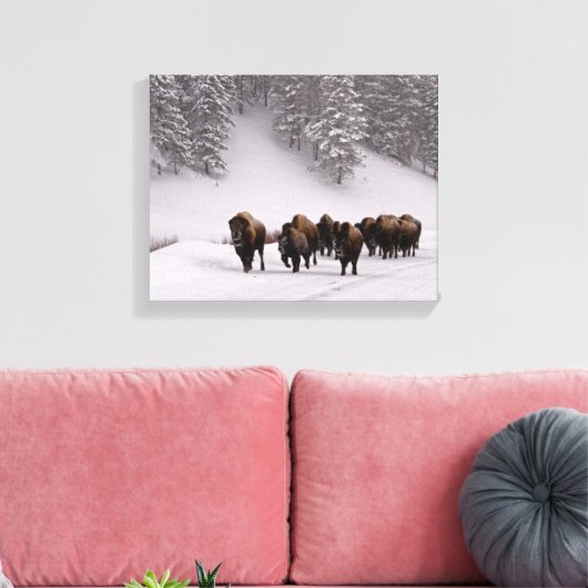 Toile Bison en hiver (Insitu(Salon))