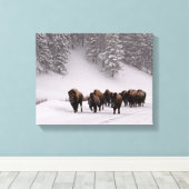 Toile Bison en hiver (Insitu (Plancher de Bois))