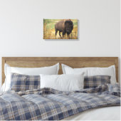 Toile Bison photo (Insitu(Chambre))