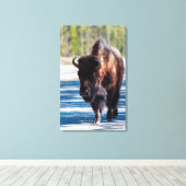 Toile Bison sur la route dans le parc national Yellowsto (Insitu (Plancher de Bois))
