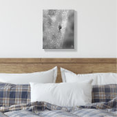 Toile Black and White Spider sur son Dewy Web (Insitu(Chambre))