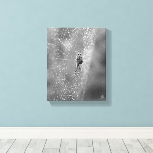Toile Black and White Spider sur son Dewy Web (Insitu (Plancher de Bois))