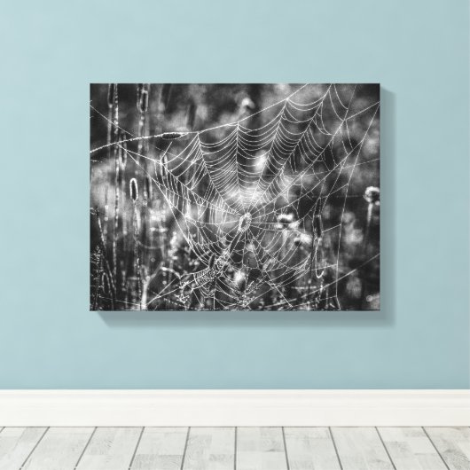 Toile Black and White Spider Web Nature (Insitu (Plancher de Bois))