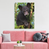 Toile Black Bear Cub Jouer dans les arbres (Insitu(Salon))