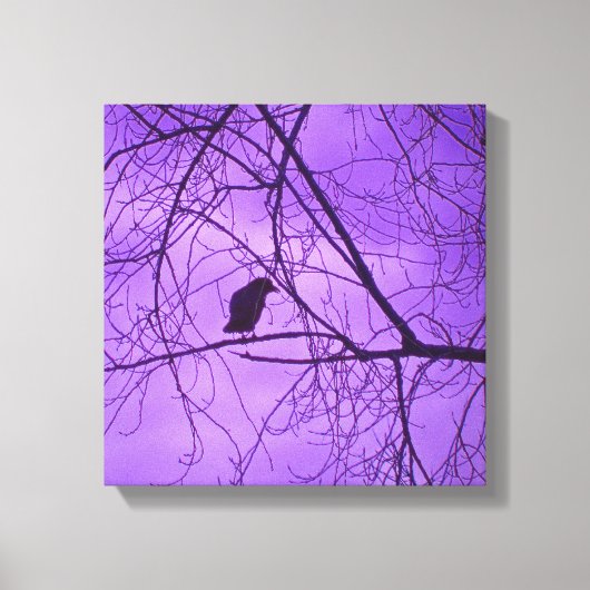 Toile Black Crow Purple Sky Trees Photographie (Recto)