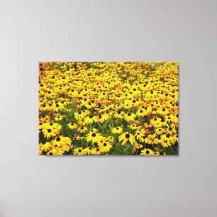 Toile Black Eyed Susans Diptych