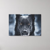 Toile Black German Shepherd (Recto)