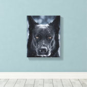 Toile Black German Shepherd (Insitu (Plancher de Bois))