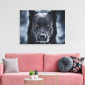 Toile Black German Shepherd (Insitu(Salon))