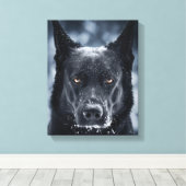 Toile Black German Shepherd (Insitu (Plancher de Bois))