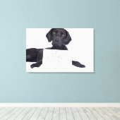 Toile Black Labrador 13 mois (Insitu (Plancher de Bois))