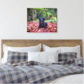 Toile Black Labrador Dans Les Feuilles Automnes (Insitu(Chambre))