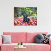 Toile Black Labrador Dans Les Feuilles Automnes (Insitu(Salon))