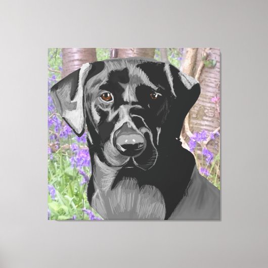 Toile Black Labrador dans un bois de Bluebell (Recto)